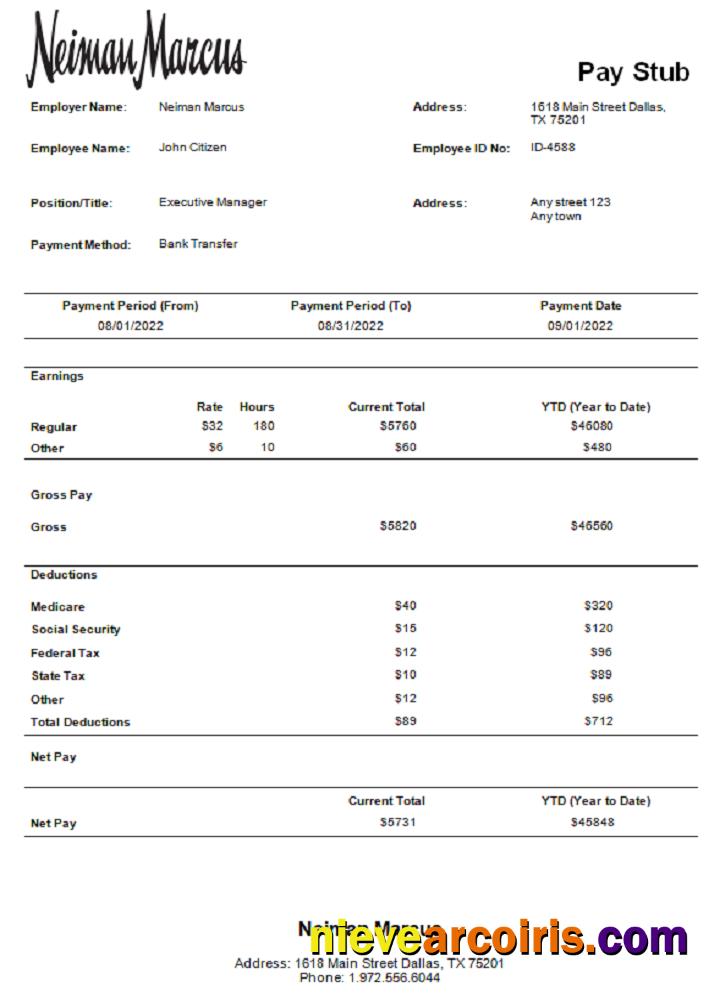 USA Neiman Marcus department store company pay stub